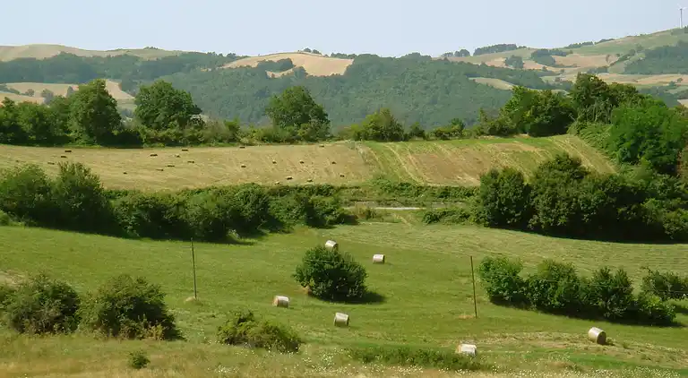 Apartment in Ripabottoni