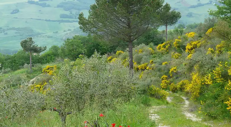 Apartment in Ripabottoni