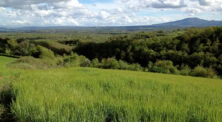 Villa in Graffignano