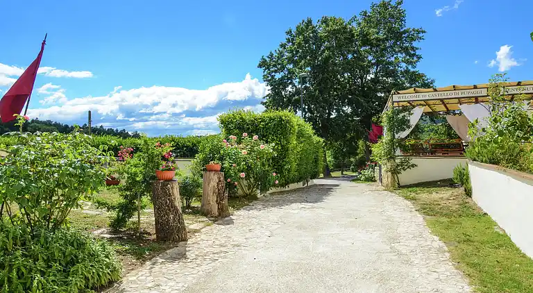 Farm house in Pupaggi