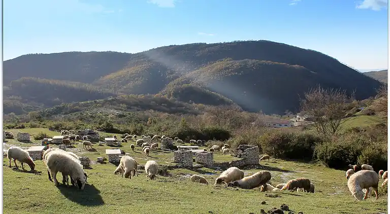 Holiday home in Selci