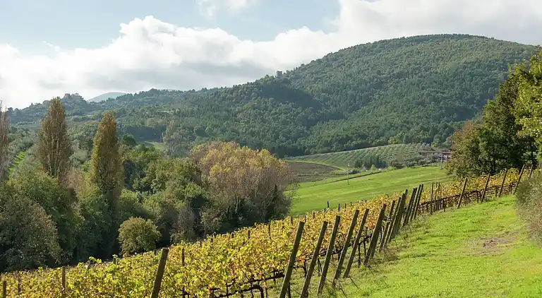 Farm house in Giano dell'Umbria