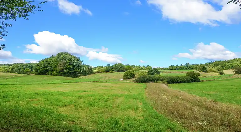 Farm house in Pupaggi