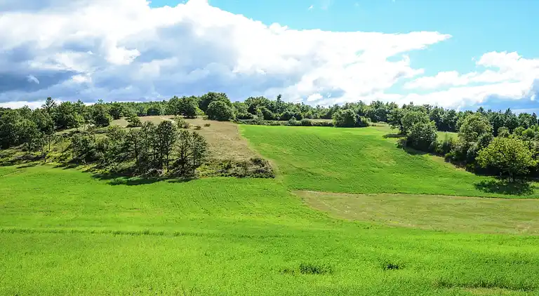 Farm house in Pupaggi