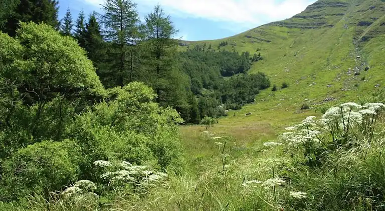 Villa i Lizzano in Belvedere