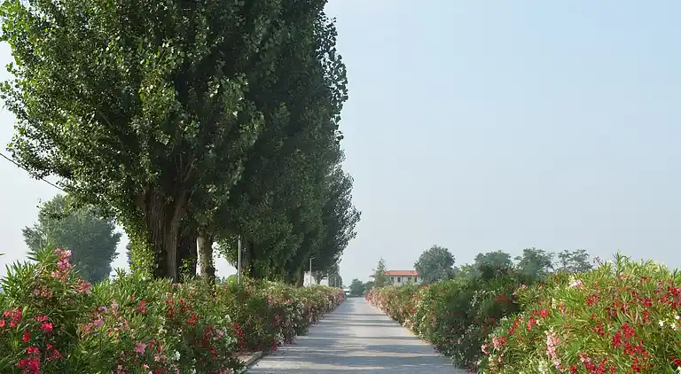 Apartment in Codigoro