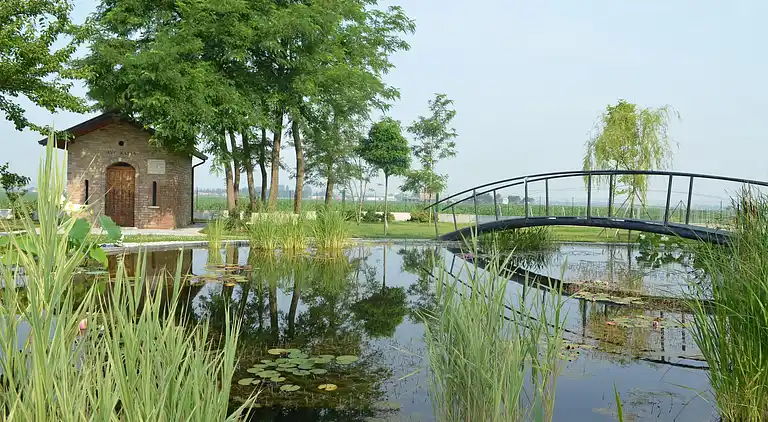 Apartment in Codigoro