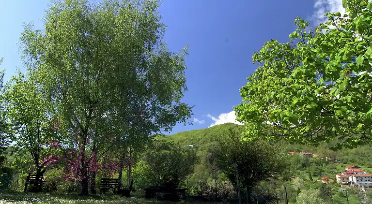 Sommerhus i Campo Tizzoro