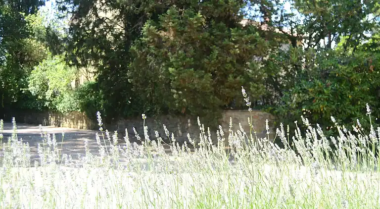 Holiday home in Greve in Chianti