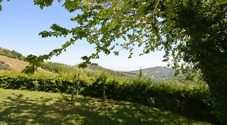 Vakantiehuis in Modigliana