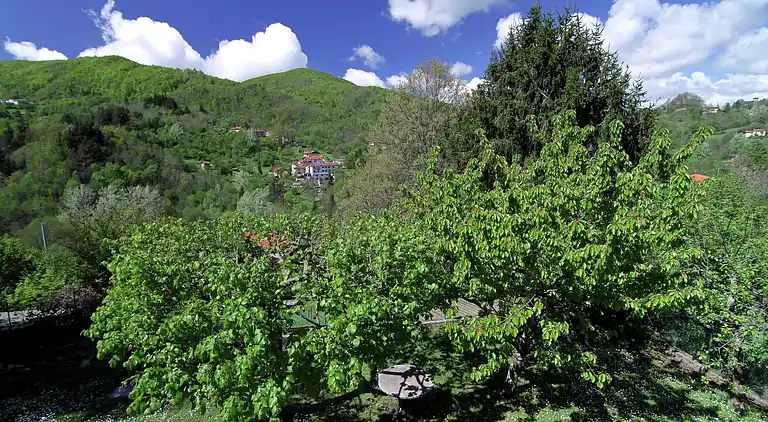 Sommerhus i Campo Tizzoro