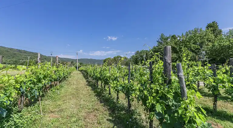 Feriebolig i San Martino