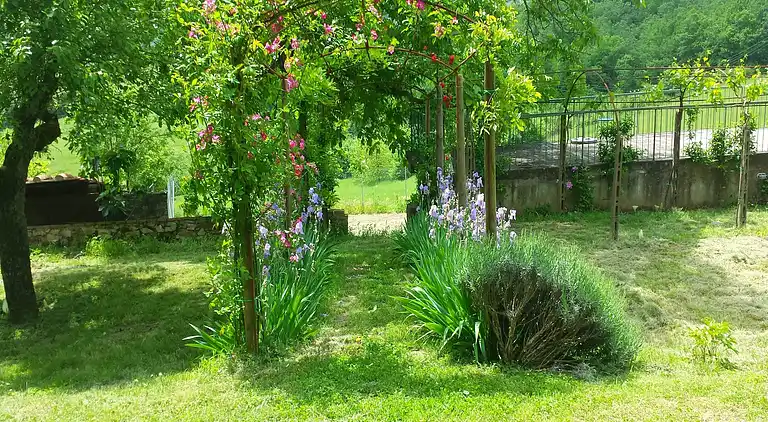 Villa in Rignano sull'Arno