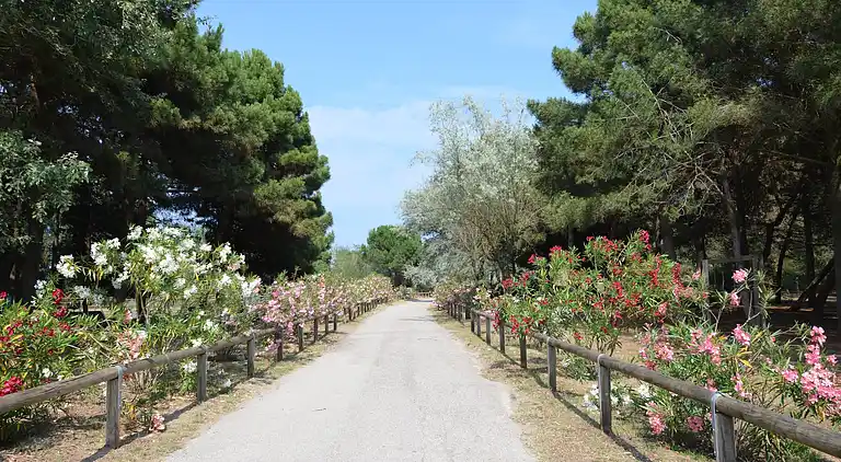 Holiday home in Lido di Spina
