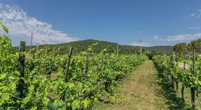 Feriebolig i San Martino