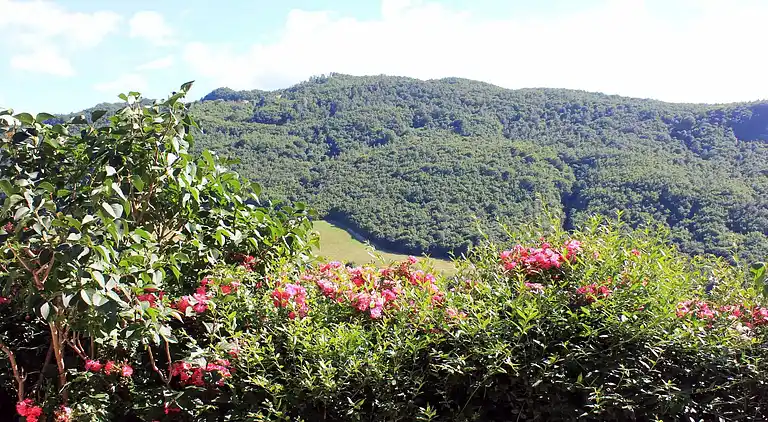 Apartment in Pennabilli