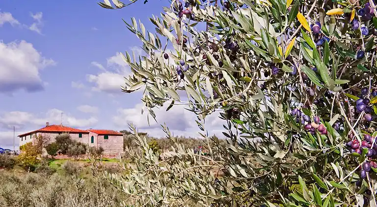 Casa rural en Quarrata