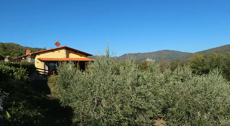 Sommerhus i San Quirico