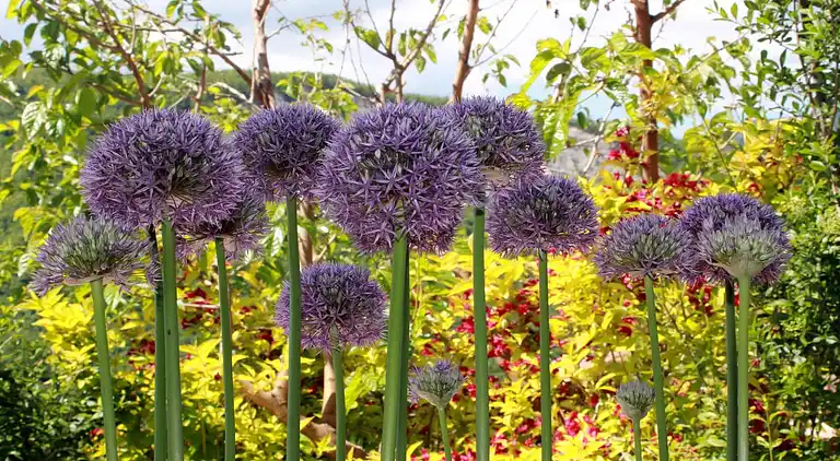 Apartamento en Pennabilli