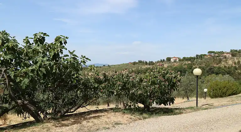 Holiday home in Reggello