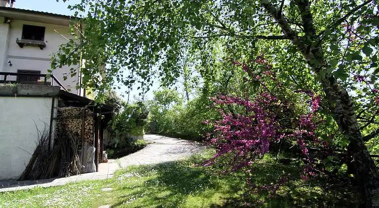 Sommerhus i Campo Tizzoro