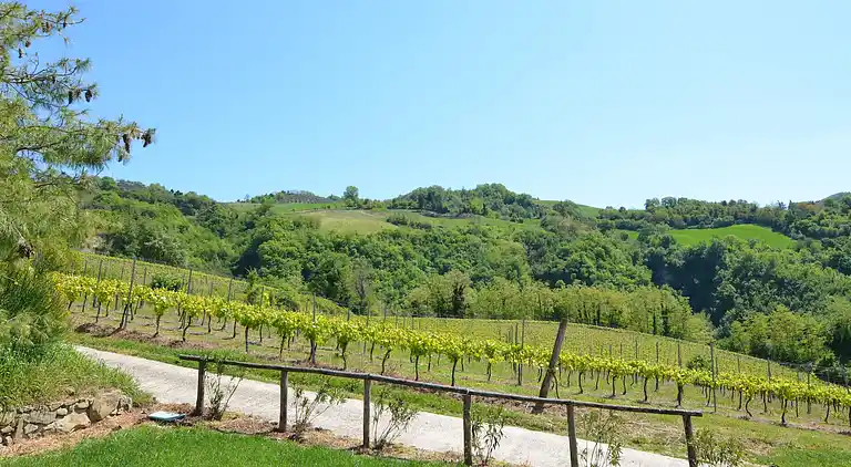 Sommerhus i Modigliana