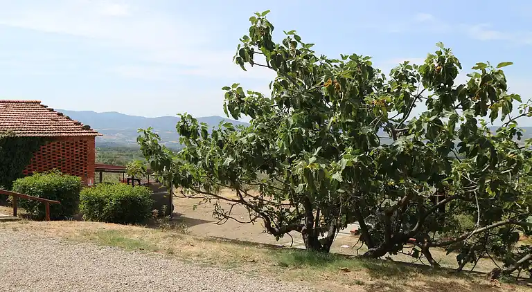 Holiday home in Reggello