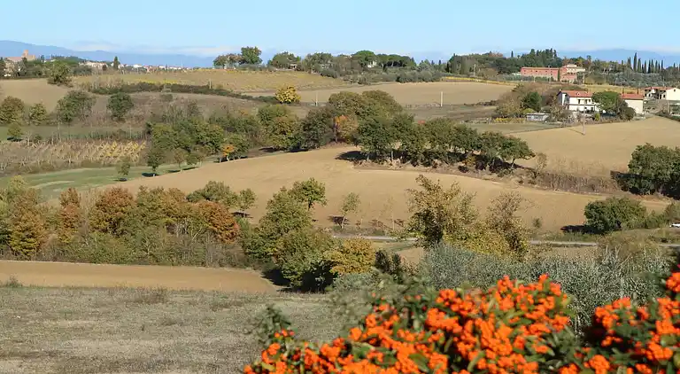 Holiday home in Foiano della Chiana