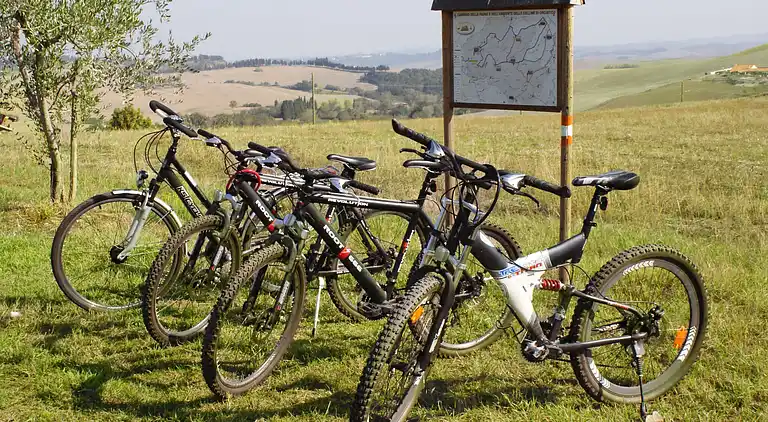 Holiday home in Lajatico