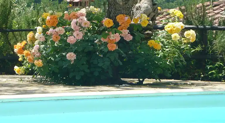 Gårdshus i Gavignano