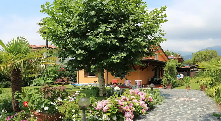 Holiday home in Capanne-Prato-Cinquale