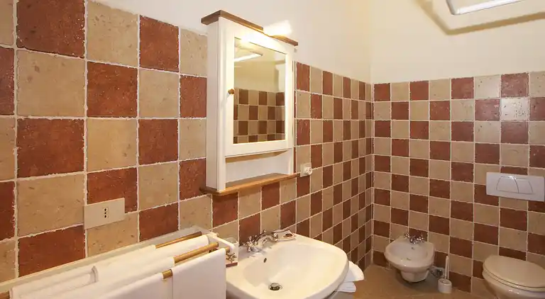 Farm house in Castelnuovo Berardenga