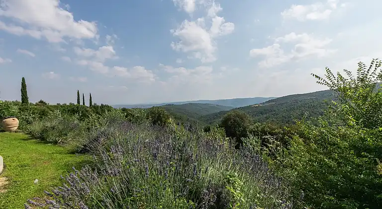 Cottage in Civitella in Val di Chiana