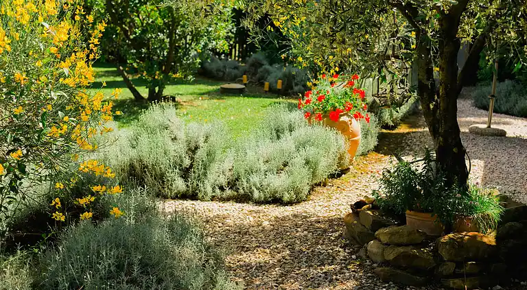 Farm house in Grosseto