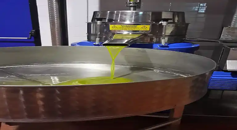 Farm house in Bosco-arvara