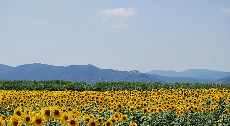 Semesterbostad i Braccagni