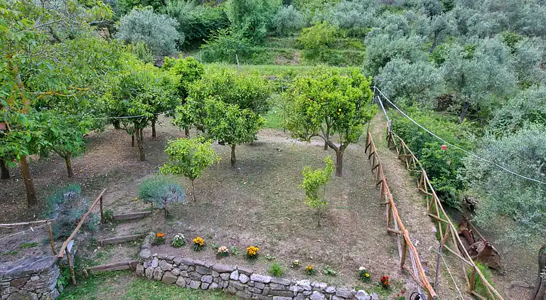 Farm house in Colli di Fontanelle