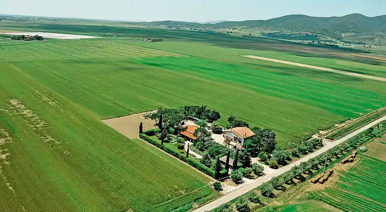 Farm house in Grosseto