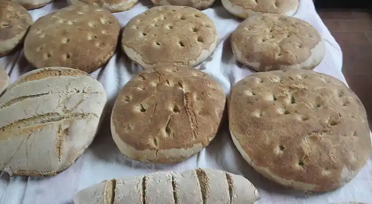 Farm house in Bosco-arvara