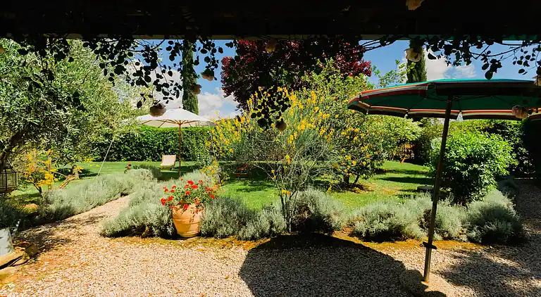 Farm house in Grosseto