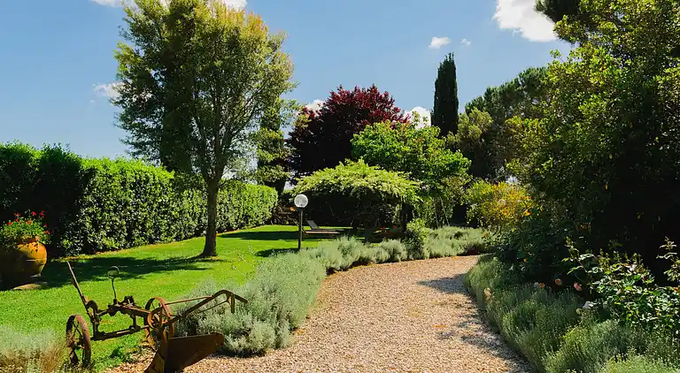 Farm house in Grosseto