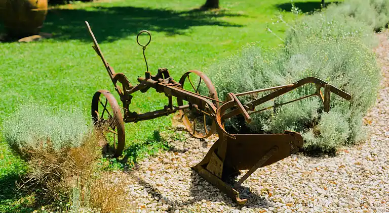 Farm house in Grosseto