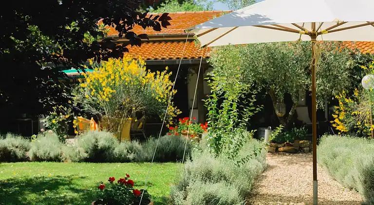 Farm house in Grosseto