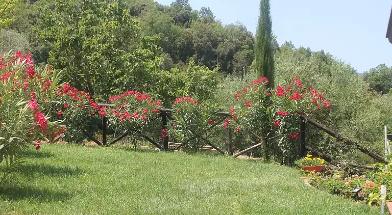 Holiday home in Sessa Cilento