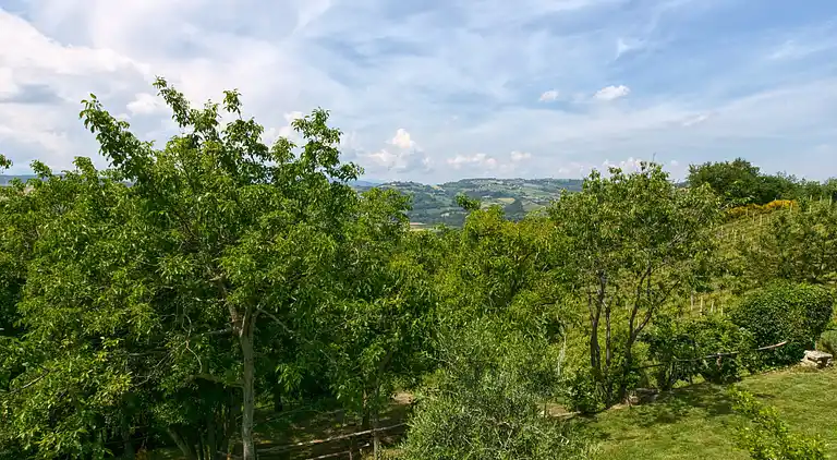 Holiday home in Montalto delle Marche