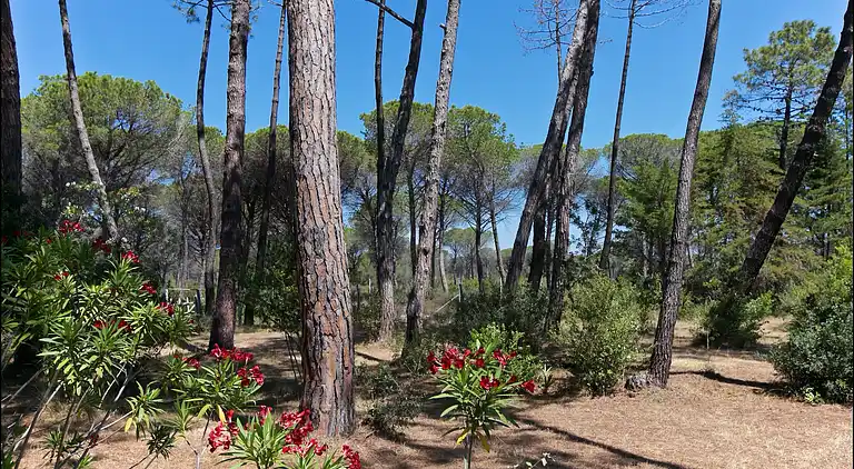 Semesterbostad i Principina a Mare