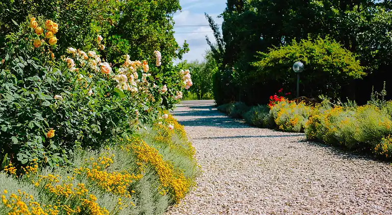 Farm house in Grosseto