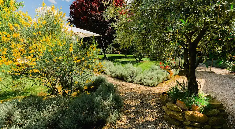 Farm house in Grosseto