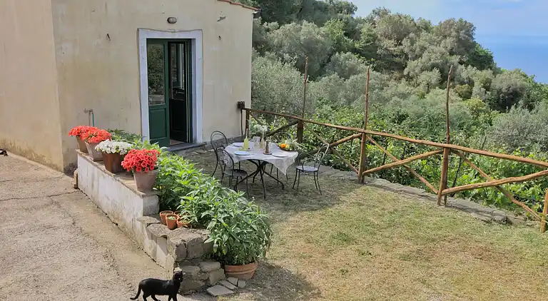 Farm house in Colli di Fontanelle