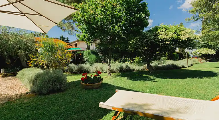 Farm house in Grosseto
